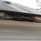 #20 Gutters (damage to fascia due to clogged gutters)